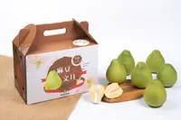 在飛比找台灣好農優惠-麻豆農會-麻豆文旦禮盒-特級10斤