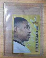 Steven Bergwijn GOLD SP KOREA Ver 2022 Panini World Cup Coca Cola Sticker
