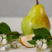 French Pear Reed Diffuser - Linen