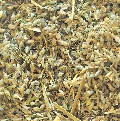 Catnip Leaf - Nepeta cataria - Organic Dried C/S Herb Apothecary Tea 0.5-4 oz