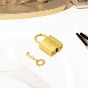 Mini Padlock with Key Portable Metal Key Lock for Suitcase Diaries Backpack