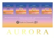 1 Set Larsen Aurora Cello Strings Set 4/4 Size