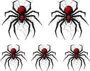 Halloween Horror Black Spider Decal Sticker Pack of 5 – Peel & Stick Vinyl for Car, Truck, Window, Wall, Laptop, Water Bottle – Removable Creepy Spider Decals for Indoor Outdoor Decor