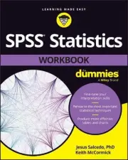 SPSS Statistics Workbook For Dummies by Jesus Salcedo (English) Paperback Book