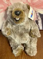 Kids Of America Grizzly Bear Cub Plush Hand Puppet 12”
