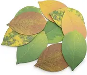 Cute Tree Leaf Sticky Notes/Paper Memo Self-Adhesive Notes, 3.93" x 2.45" 10 Pads, 5 Colors