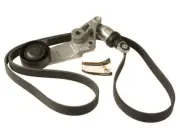 Distributor Belt For 2002-2008 Toyota Corolla 1ZZ-FE 2003 2004 2005 2006 MG194WQ
