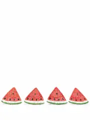 [SERPUI] watermelon coaster set