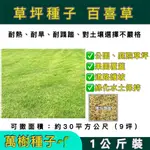 【萬樹種子】百喜草 草皮種子 草籽 1公斤裝 庭園草皮、護坡、水土保持用 內附種植說明書