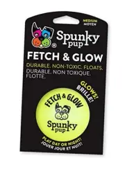 Fetch & Glow Ball Medium, (Assorted) Medium Ball