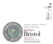 Strathmore Bristol Vellum Paper Pad 14"X17"-15 Sheets 80821