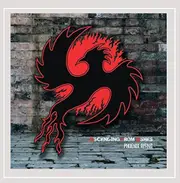 Phoenix Rising -Ascending From Ashes CD