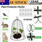 Garden Chicken Wire Cloche Plant Cover Plant Protector 13"x16" Height 10PCS AU