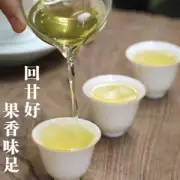 Jin Xuan Milk Oolong Tea Milk Flavor Taiwan Tea