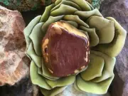 Mookaite, Palm, Meditation Stone Mooka Station, Western Australia