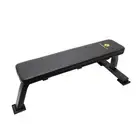 Professional Fitness Flat Weight Bench