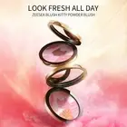 ZEESEA Kitty Blush & Highlighter Palette Enhancing Makeup Blush Pressed Powder
