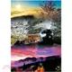 【人人明信片】印象阿里山-阿里山的櫻花、日出、雲海、鐵道