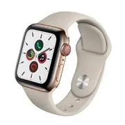 [Apple] Apple Watch Series 5 Stainless Steel CELLULAR