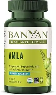 Banyan Botanicals Amalaki Tablets – Organic Amla Supplement – Nourishing, Gently Cleansing, Supports The Immune System & Promotes Healthy Energy* – 90 Tablets – Non GMO Sustainably Sourced Vegan