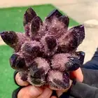 374G New Find purple PhantomQuartz Crystal Cluster MineralSpecimen