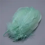 Feathers for Crafts 5-7 Inch Feather Decor Feathers for Clothes Craft Feathers Decoration DIY Peppermint EN8 20 Pieces