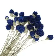 30 Pcs 16 Inch Dried Flowers for Vase Mini Pine Ball Flowers Navy Blue