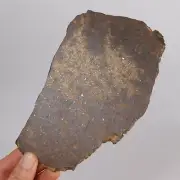 83g Chondrite Meteorite Slice,NWA unclassified Meteorite, From Northwest AB222