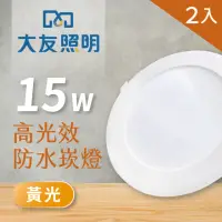 在飛比找momo購物網優惠-【大友照明】LED防水崁燈 15W - 黃光 - 2入(LE