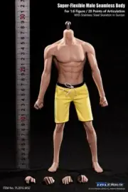 1/6 Tbleague PL2015-M32 Male Seamless Asian strong Man Body Toys Fit 12" Figure