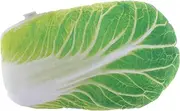 Vegetable Pillow Couch Pillows Broccoli Floor Cushions Food Plush Cabbage Cabbage Decoration Thanksgiving Decor Floor Cushion Plush