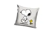 Peanuts Snoopy & Woodstock Filled Cushion (Grey) (One Size)