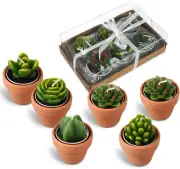 6 Pcs Succulent Candles Decorative Cactus Tealight Candle Novelty Tea Lights Han