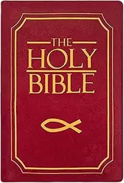 Holy Bible Plush Pillow,Openable Book Stuffed Plushie,Bible Pillows Book Plush That Opens,Book Shape Bible Verse Pillow,Openable Book Plush Pillow for Kids Adults