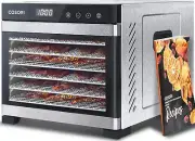 Food Dehydrator for Jerky 600W Dehydrated Dryer, 6 Stainless Steel Trays