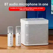 Karaoke Machine Bluetooth Speaker for Adults Kids with 2 Wireless Microphones