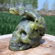 1.1lb Natural Unknown Stone Quartz Hand Carved Dragon Skull Crystal Reiki Decor