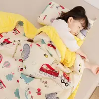 在飛比找松果購物優惠-【贈枕頭】加大加厚夾棉蓋被 安撫毯 蓋毯 兒童蓋被 午睡被 