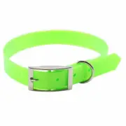 Dog collar (19mm) 3/4" x 20" (50cm) Terrier, Whippet Pup Pig Dog Hound Pet