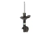 Shock absorber BILSTEIN 22-248190 (for: Subaru)