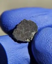 Meteorite**NWA 16104; R3-6**0.729 gram; W/ Fresh Contraction Fusion Crusted !!