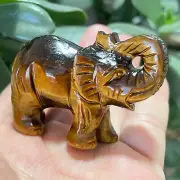 3" Natural Tiger's Eye Quartz Carved Elephant Skull Crystal Healing 1pc