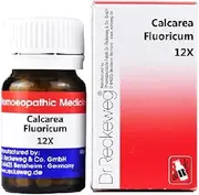 CALCAREA FLUORICA 12X 20 GM RECKEWEG - by (Cloud Export)