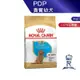 【ROYAL CANIN 法國皇家】 貴賓幼犬專用乾糧(PDP_3kg)｜皇家粉絲團 貴賓狗飼料 貴賓飼料 幼犬飼料