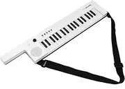 Daseeme Portable A4 Sliding Paper Cutter 12.6 Inch Cut Length Paper Trimmer Scrapbooking Tool Cutting Mat Machine for DIY Craft Paper Cardd Photos Pictures Cards Office Home Supplies
