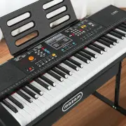 61 Keys Electric Keyboard Piano Kids Piano Keyword with 60 Demos, Microphone Inp