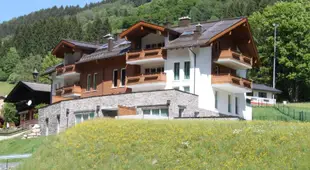 Luxurious Apartment in Saalbach Hinterglemm near Ski Area