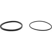 Trap Lid Seal, Zodiac Jandy PHPF, with O-Ring