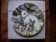 The Heritage Collection Plate "Artic Hare Family" by Mike Jackson