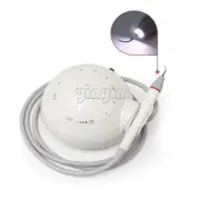 Dental Ultrasonic Piezo Scaler Detachable Handpiece Woodpecker Electric Cavitron